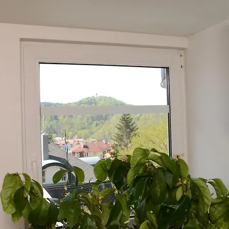 Privat Tri Krize Apartment Karlovy Vary